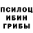 Псилоцибиновые грибы мухоморы Kat Welsh
