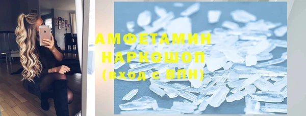 молекула духа Богданович
