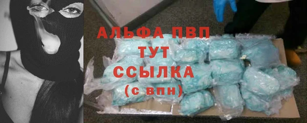 молекула духа Богданович