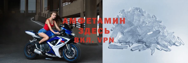 молекула духа Богданович