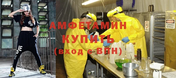 молекула духа Богданович
