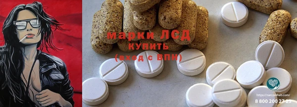молекула духа Богданович