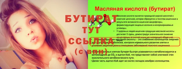 молекула духа Богданович