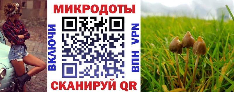 дарнет шоп  kraken как зайти  Галлюциногенные грибы Cubensis  Топки 